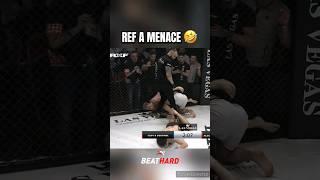 This MMA referee doesn't mess around #mma #ref #referee #ko #boss #boxing #muaythai #kickboxing