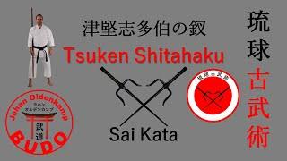 Tsuken Shitahaku no Sai | 津堅志多伯の釵