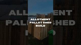 Building an Allotment Shed with Free Pallets | DIY Step-by-Step