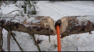 Cut old pine log with a chopper: second cut