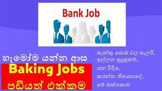 Top Banking Jobs in Sri Lanka: Salary, Career Path, and Qualifications Explained