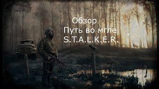 Обзор Путь во мгле [S.T.A.L.K.E.R]