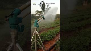 Maximize crop yield with yuzuak jet 50 rain gun sprinkler#raingun #tast #sprinkler #kilimo #farming