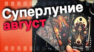  ТАРО ПРОГНОЗ НА ПОЛНОЛУНИЕ 19 АВГУСТА 2024 года с Ниной ️ Что Будет Дальше? ️ знаки судьбы