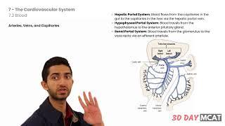 MCAT Sample Video - Biology Chapter 7.2 Blood (The Cardiovascular System)