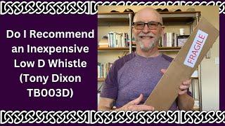 Do I recommend an Inexpensive Low D Whistle | Tony Dixon TB003D Review (Part One)