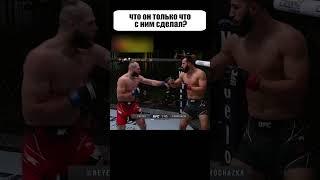 Оформив ТАКОЙ ДИКИЙ нокаут, ему СРАЗУ ЖЕ дали титульный бой #shorts