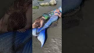 Two Real Mermaids washed up on the beach?!  is one still moving?? #realmermaid