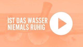 Vitbot - Ist das wasser niemals ruhig