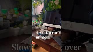 Day in the life of a NYC gardener  #gardening #garden2024 #gardenerlife