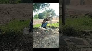 Pakistani Style #Bathing #Desi #Village_life🫣🫣🫣🫣