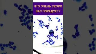 ЭФИР ВОСКА️ЧТО ПОРАДУЕТ ВАС СО ДНЯ НА ДЕНЬ? #гадание #видео #shortsvideo #гаданиенавоске