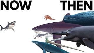 The Biggest Aquatic Predators in Earth’s History
