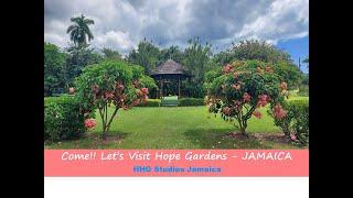 Come!! Let's Visit Hope Gardens - JAMAICA