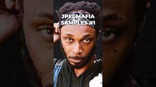 The AI Future Sample JPEGMAFIA Used In "Either on or Off the Drugs" #jpegmafia #hiphop #samples