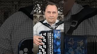 Miserlou / Криминальное чтиво #short #баян #pulpfiction #accordion