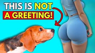 When Dogs Sniff Your Butt, It’s NOT What You Think!  | Dog Cues