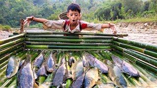 Poor boy makes fish trap in ancient way, unexpectedly catches giant fish