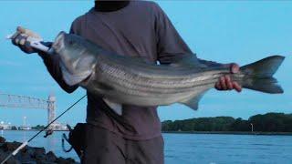 Striped bass fishing at the Cape Cod Canal, a day before the blue moon and tropical storm Henri