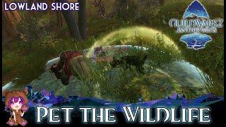 GW2 Pet the Wildlife achievement