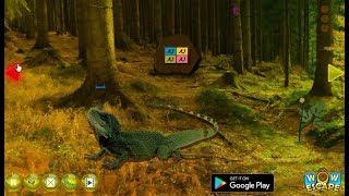 Escape from Lizard Forest walkthrough Wowescape.