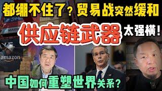 中美绷不住了？贸易战为啥突然缓和？供应链武器化？习近平的新全球战略！资本市场狂欢：中美缓和能走多远？ ｜0513精华 #中国 #美国 #川普 #贸易战 #关税 #tradewar #金融