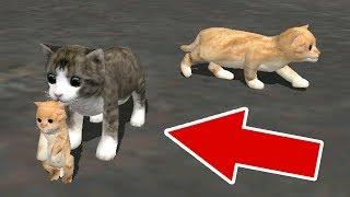 СИМУЛЯТОР КОШКИ РОДИЛСЯ КОТЕНОК в Cat Sim