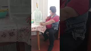Дед Мазай на связи
