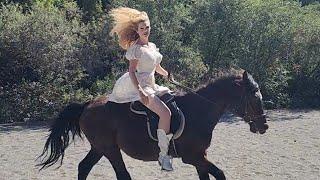 Dainty Rascal Dancing Rides Dancer the Rescue Horse