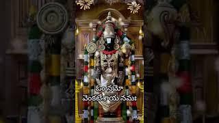please like subscribe