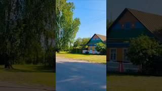 Какой Голос!! До Дрожи!#деревня #гармонь #песня #любовь