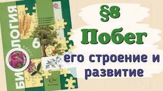 Краткий пересказ §8 Побег, его строение и развитие. биология 6 класс Пономарёва