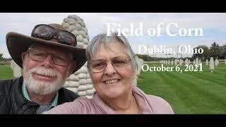 Corn Field in Dublin, Ohio  October 2021