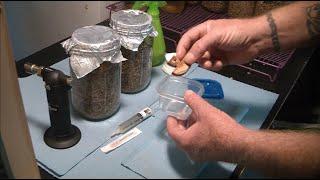 Injecting LC into Grain Jars