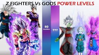Dragon ball Z/Super All Z Fighters Vs All Gods POWER LEVELS!