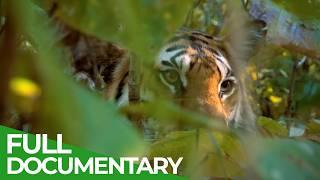 Wild India - Fantastic Creatures | Free Documentary Nature