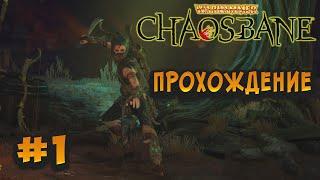 Отличная игра и это моё мнение о игре Warhammer: Chaosbane (Прохождение) #1