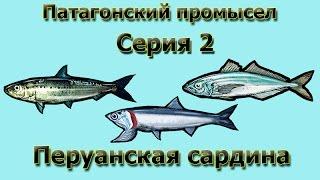 Русская Рыбалка 3.99 (Russian Fishing) Патагонский промысел 2 - Перуанская сардина