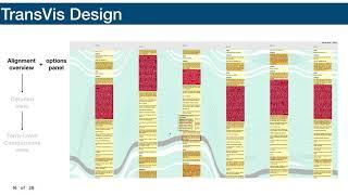 TransVis Presentation for the IEEE VIS Conference 2020