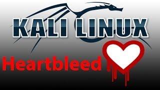 Kali is Vulnerable to Heartbleed - How to Upgrade OpenSSL for Kali Linux