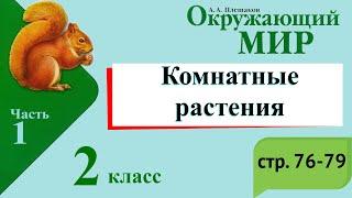 Комнатные растения. Окружающий мир. 2 класс, 1 часть. Учебник А. Плешаков стр. 76-79