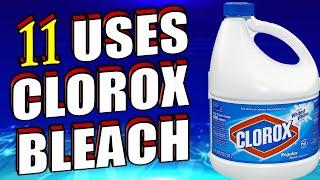 11 Useful Uses & Benefits of Clorox Bleach For Homes