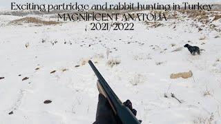 KIŞIN HARİKA TAVŞAN VE KEKLİK AVI- 2021/2022 Охота на Кеклик/caccia alle pernici/partridge hunting