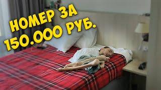 Номер за 150.000 руб. / Котята в столовой Сочи-Парк отеля / GrishAnya Life