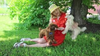 Poodles Kacie and Redlite - realistic toys (custom order)