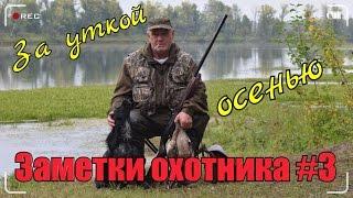 Охота. Заметки охотника #3. За уткой с русским спаниелем. Подача утки с воды. Hunting in russia