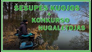 Kuojų Žūklė Šešupėje Feederiu | @FishinginsideTV #2