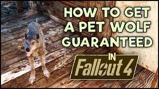 How to Get a Pet Wolf in Fallout 4 Guaranteed!