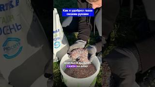 Вот такое удобрение я рассыпал на газон перед зимой #загородныйдом #ремонт #строительство #diy