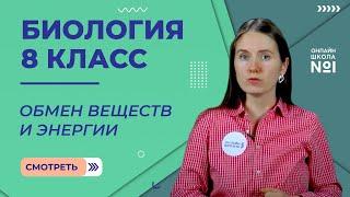 Обмен веществ и энергии. Видеоурок 24. Биология 8 класс